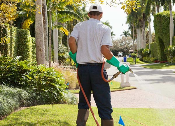About Hendricks MN Pest Control